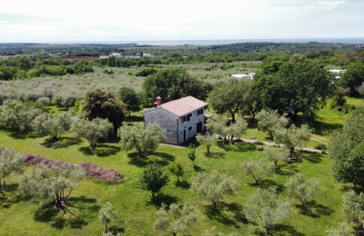 Jedinstvena prilika!! Istarsko imanje sa lijepom kamenom kućom i 17624 m2 građevinskog zemljišta